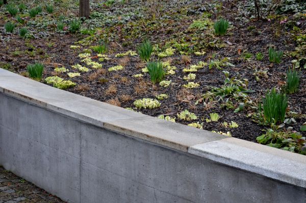 Concrete Wall Construction in North Richland Hills