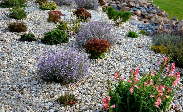 Landscape Rock Installation