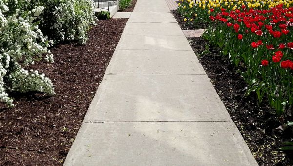 Cost of Sidewalk Slab Replacement in North Richland Hills