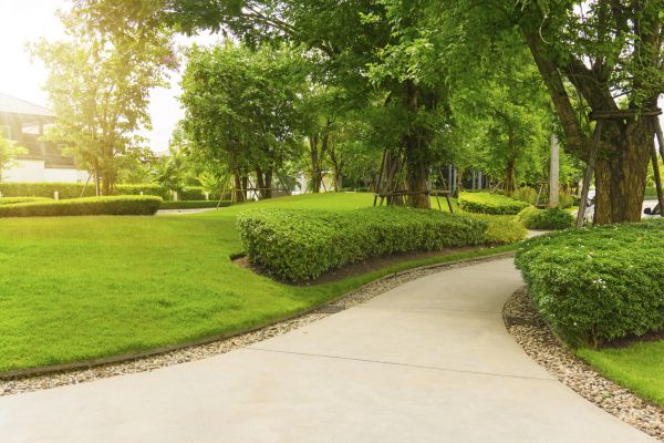 Walkway Concrete Installation in North Richland Hills
