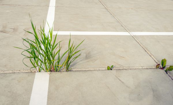 Concrete Parking Installation in North Richland Hills