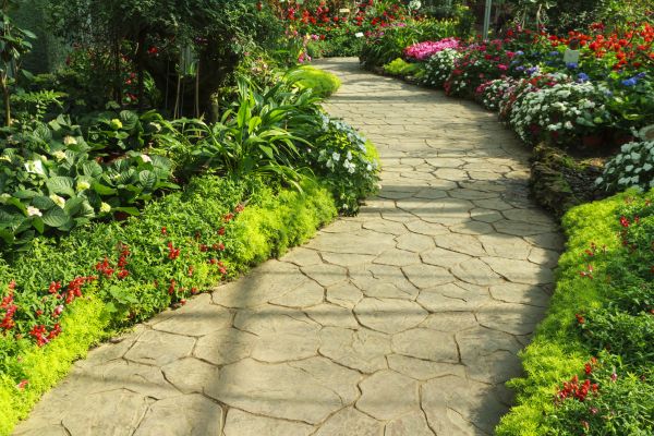 Backyard Walkway Design