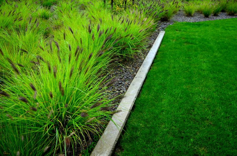 Lawn Curbing Installation